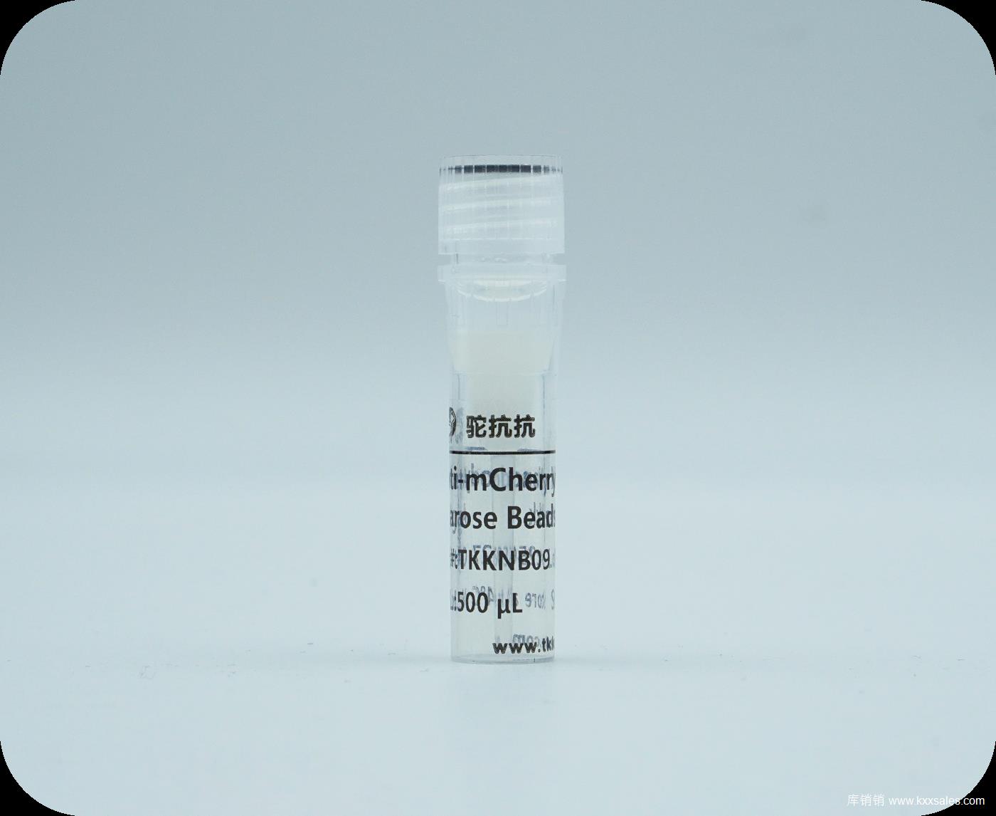 TKK Anti-mCherry Nanobody Agarose Beads